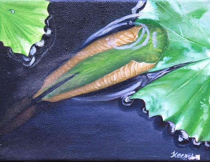 Curling Leaf, Furled, Oil and acrylic on canvas