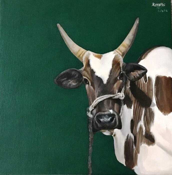 My Home Cows